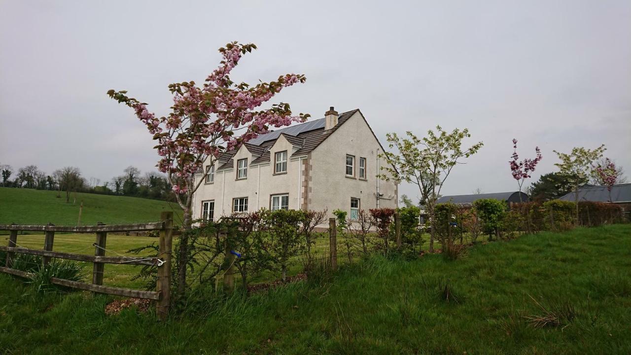 에니스킬런 Laraghson House 게스트하우스 외부 사진